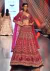 Dark Red Lehenga With A Crop Top In Royal Heritage Embroidery, Crop Top Comes In Scalloped Neckline