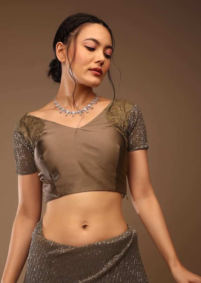 Deep Mahogany Brown Saree With Multi-Colored Sequins Floral Motifs Embroidery