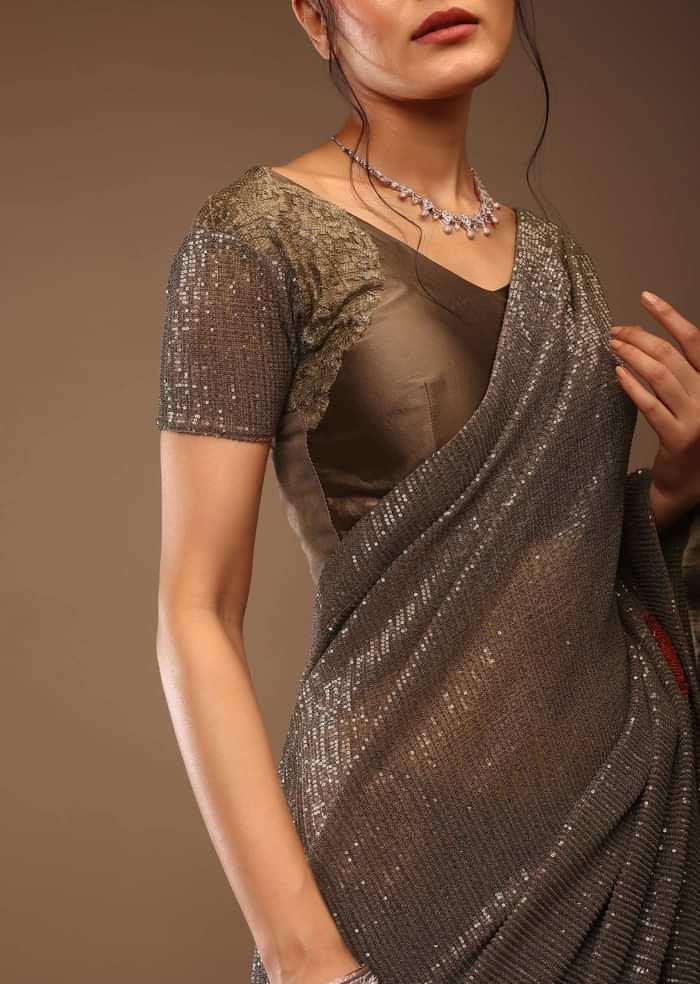 Deep Mahogany Brown Saree With Multi-Colored Sequins Floral Motifs Embroidery