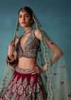 Deep Red Hand Embroidered Bridal Lehenga And blouse Set In Velvet