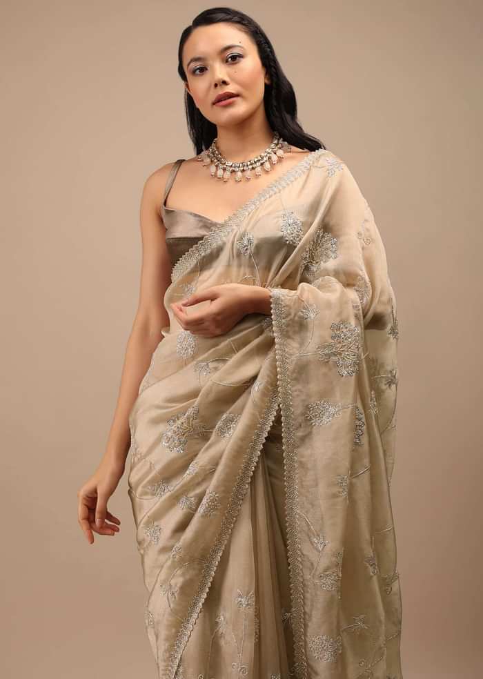 Frosted Almond Tissue Saree In Zardozi Embroidery Buttis, Leafy Motifs Embroidery Detailing On Border