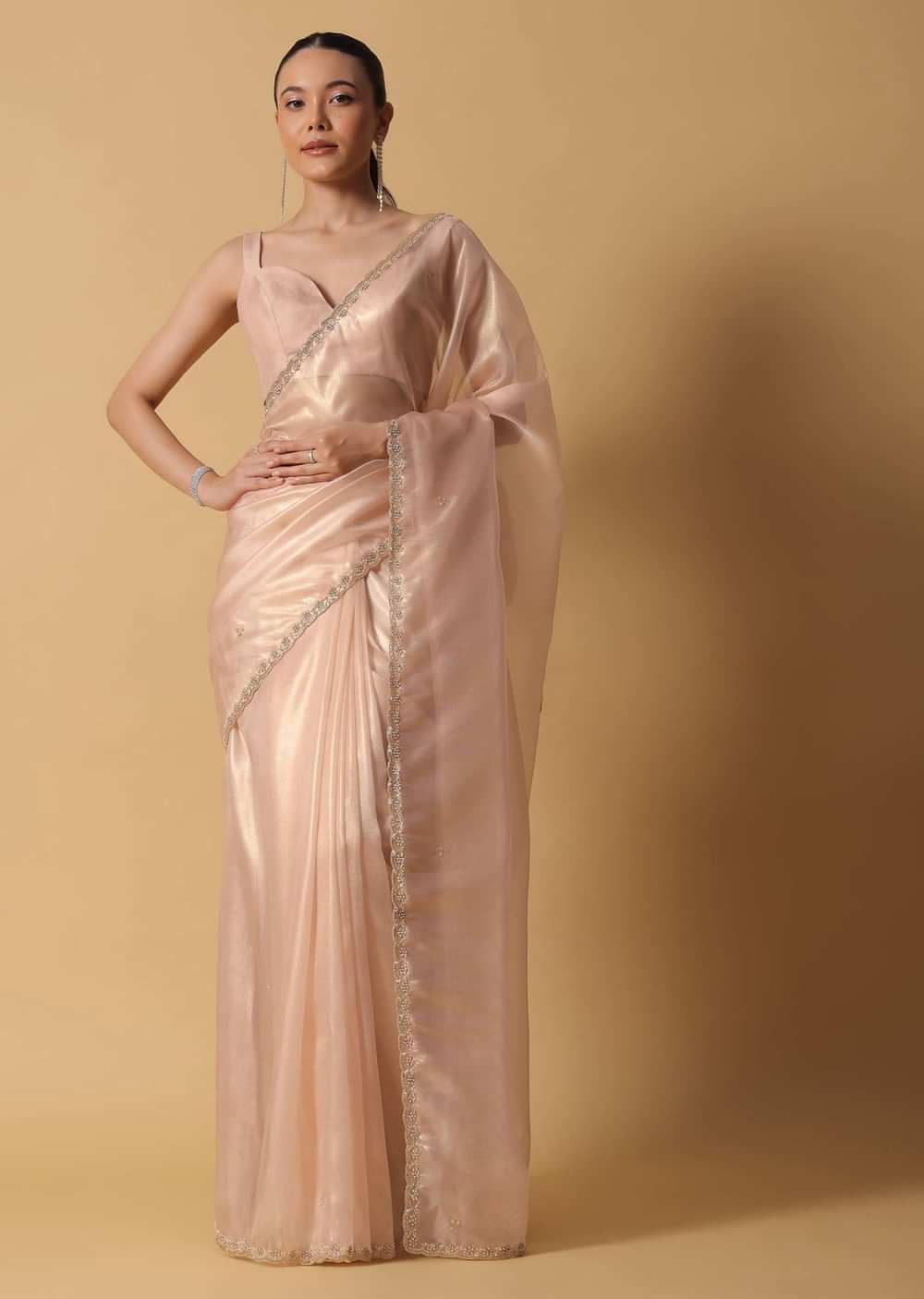 Gold And Brown Toned Saree In Tissue With Cut Dana Embroidered Borders