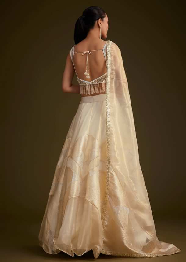 Gold And White Net Embroidered Lehenga Set With Organza Dupatta