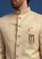 Gold Embroidered Jodhpuri Set with Hand Work