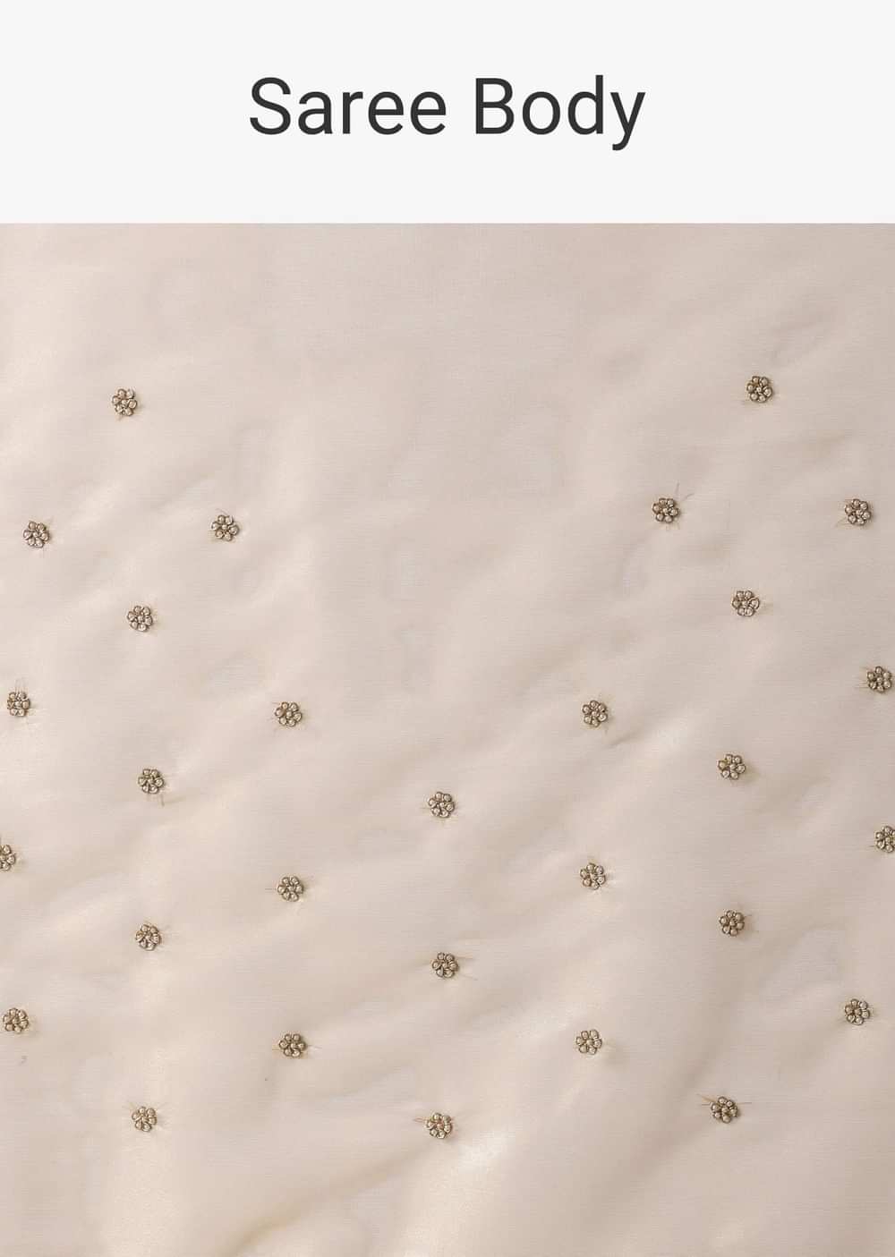 Gold Foil Saree In Tissue With Cut Dana Embroidered Borders