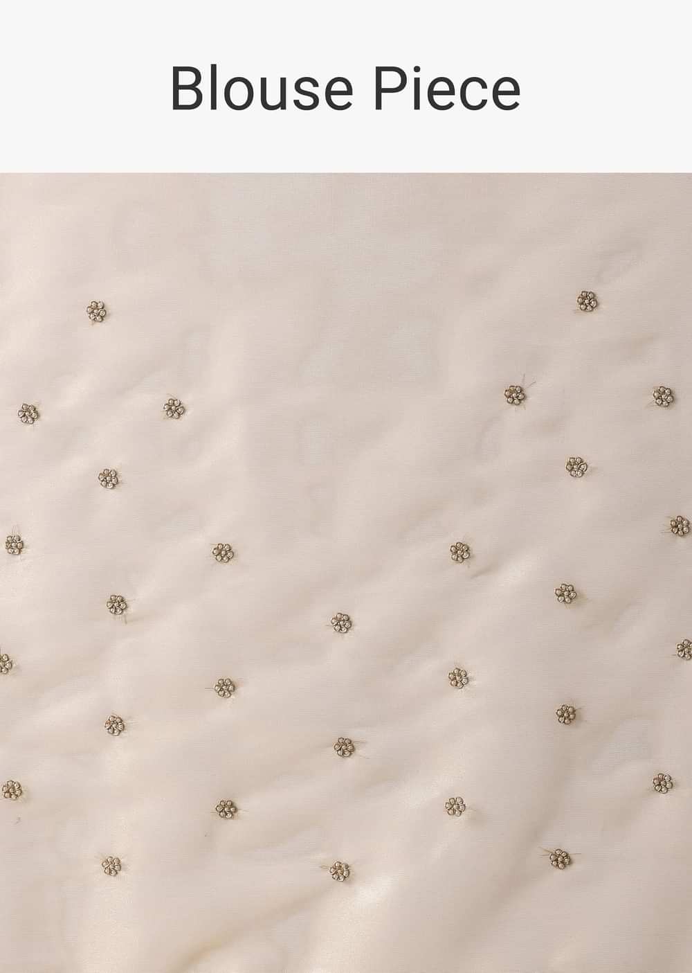 Gold Foil Saree In Tissue With Cut Dana Embroidered Borders