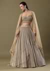 Gold Pre Pleated Lehenga With Dupatta