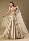 Gold Pre Pleated Lehenga With Embellished Blouse And Net Dupatta
