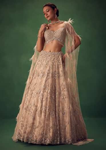 Gold Net Lehenga Set With Choker Dupatta With Feathers