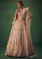 Gold Net Lehenga Set With Choker Dupatta With Feathers