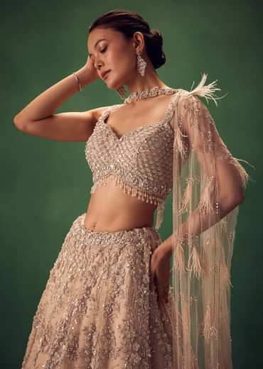 Gold Net Lehenga Set With Choker Dupatta With Feathers