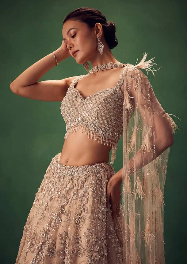 Gold Net Lehenga Set With Choker Dupatta With Feathers