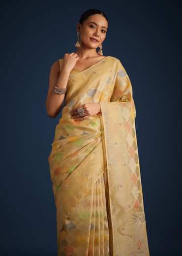 Gold Tissue Chanderi Rangkart Saree with Zardosi Work