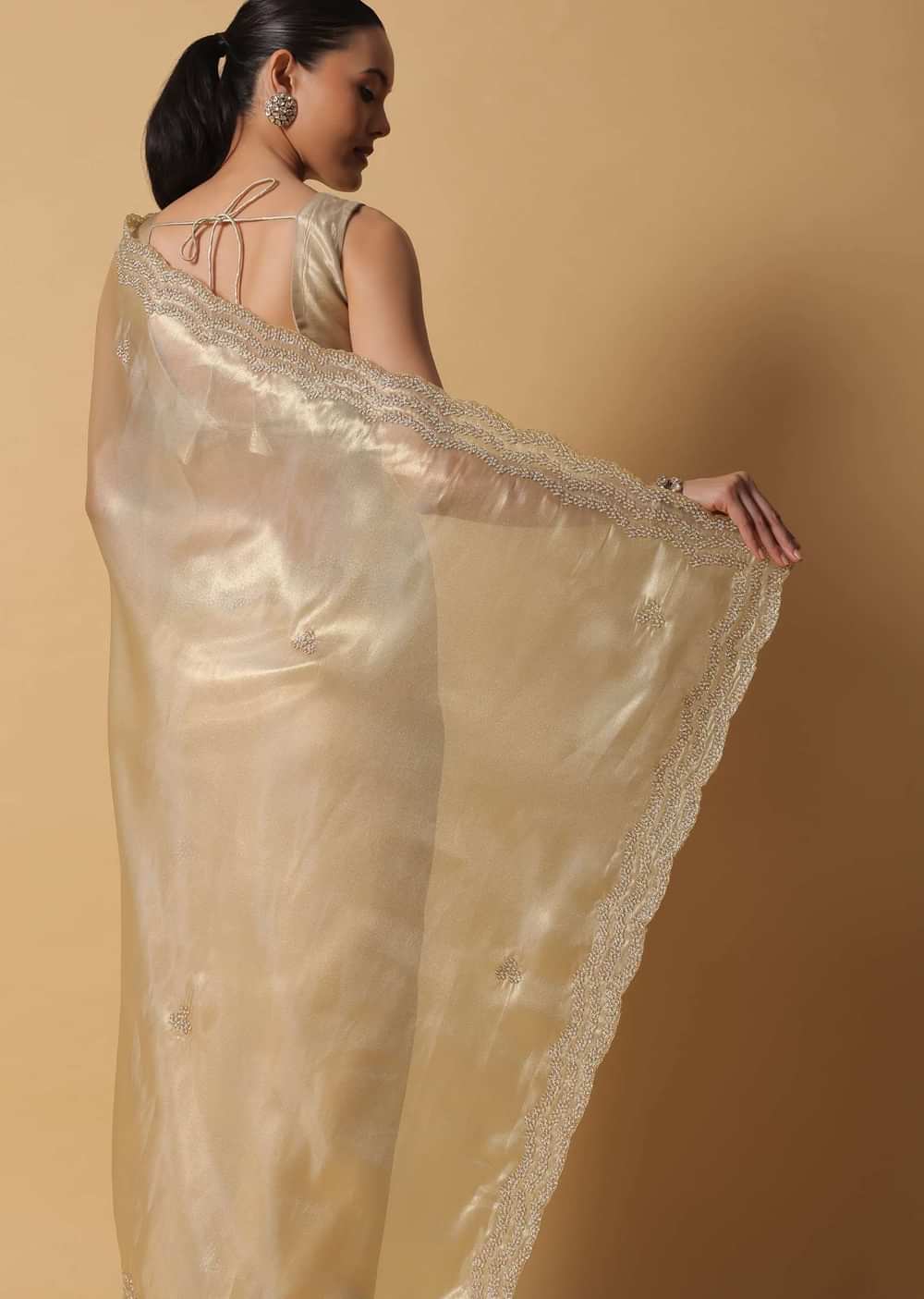 Gold Toned Foil Saree In Tissue With Cut Dana Embroidered Borders