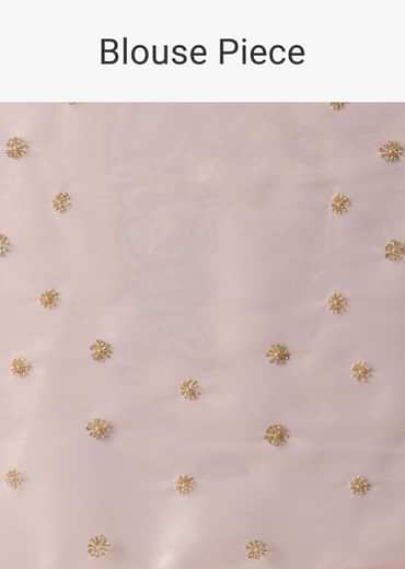 Peach Tissue Saree With Cut Dana Embroidered Borders