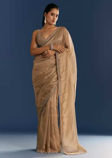 Golden Beige Organza Tissue Saree With Cut Dana And Stone Embellishments