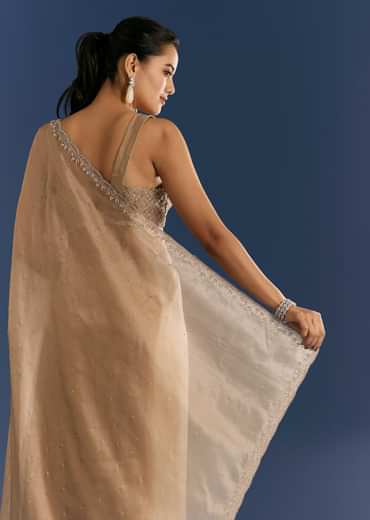 Golden Beige Organza Tissue Saree With Cut Dana And Stone Embellishments
