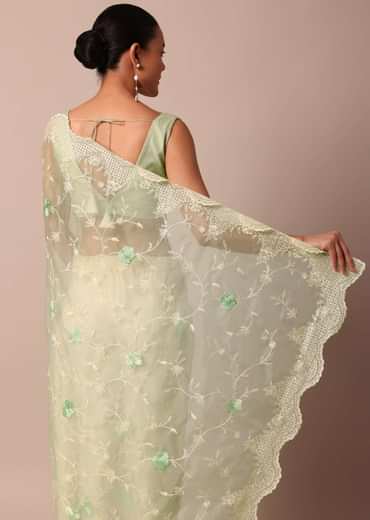 Green Chikankari Saree In Organza Silk With Resham Floral Jaal And Unstitched Blouse Fabric
