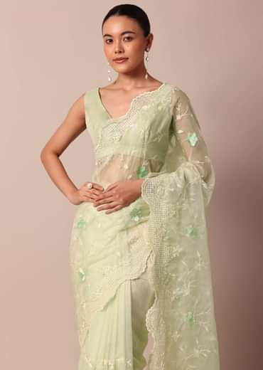 Green Chikankari Saree In Organza Silk With Resham Floral Jaal And Unstitched Blouse Fabric
