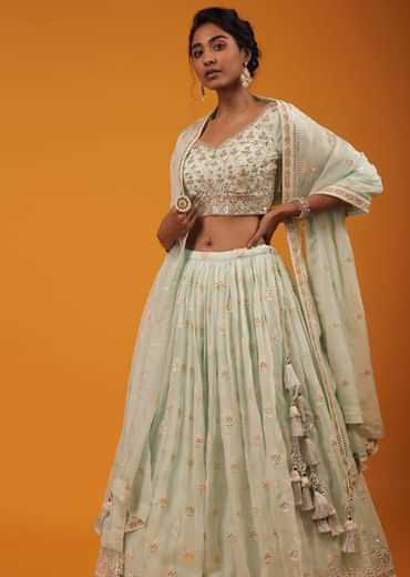 Honeydew Green Lehenga And Crop Top With Multi Colored Lucknowi Work In Floral Pattern