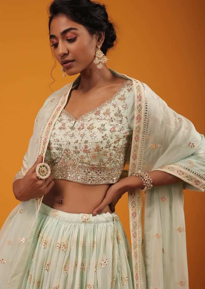 Honeydew Green Lehenga And Crop Top With Multi Colored Lucknowi Work In Floral Pattern