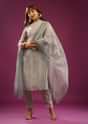 Silver Grey Pant Suit In Organza With Embroidery