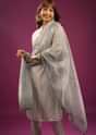 Silver Grey Pant Suit In Organza With Embroidery