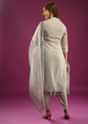 Silver Grey Pant Suit In Organza With Embroidery
