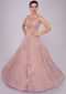 Lemonade Pink Gown In Net With Floral Embroidered Butti Online - Kalki Fashion