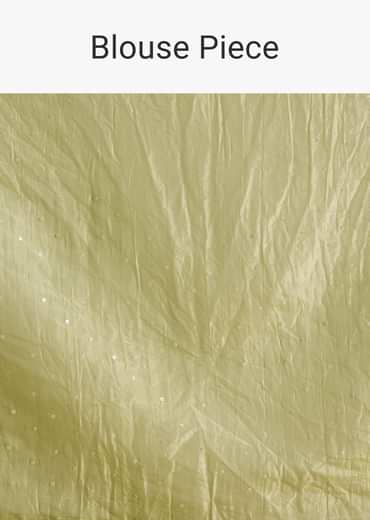 Light Green Crushed Tissue Sequin Saree With Scallop Border