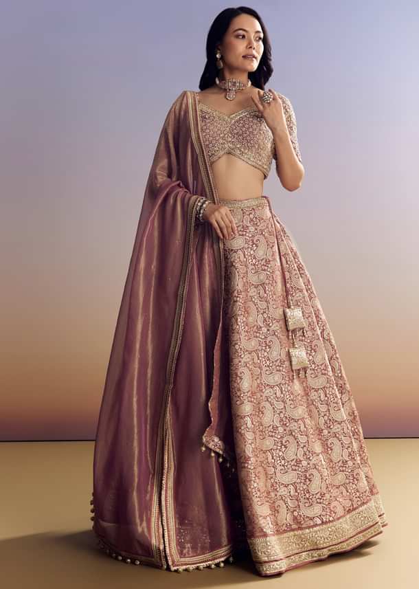 Light Pink Banarasi Silk Lehenga Set With Embroidered Choli