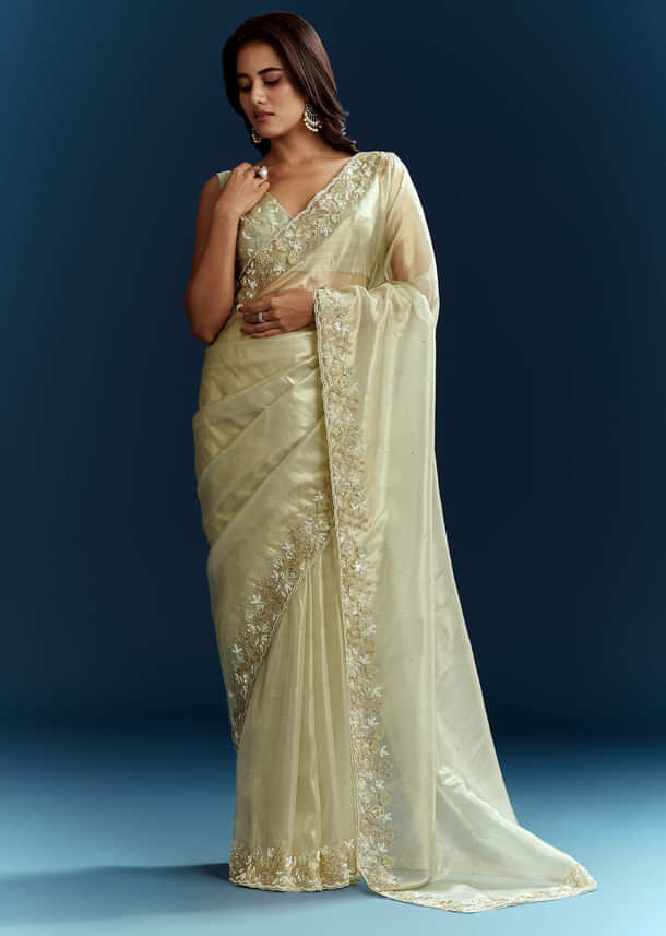 Light Pista Organza Saree With Floral Cutdana And Stone Embroidery Light Pista Organza Saree With Floral Cutdana And Stone Embroidery