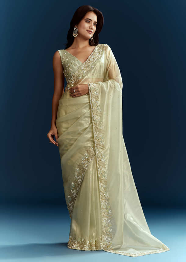 Light Pista Organza Saree With Floral Cutdana And Stone Embroidery Light Pista Organza Saree With Floral Cutdana And Stone Embroidery