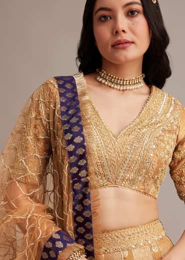 Light Brown Banarasi Silk Lehenga Set With Zardosi Work