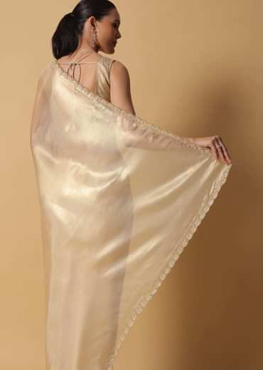 Light Gold Toned Foil Saree In Tissue With Cut Dana Embroidered Borders