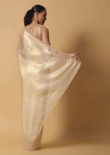 Light Gold Toned Foil Saree In Tissue With Cut Dana Embroidered Borders