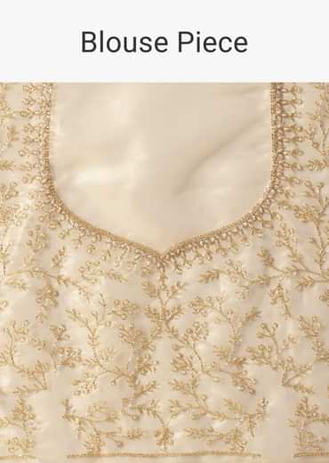 Light Gold Toned Foil Saree In Tissue With Cut Dana Embroidered Borders
