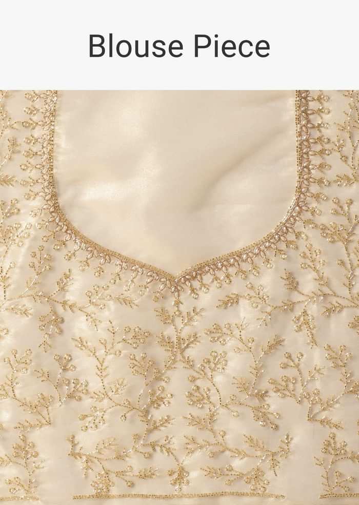 Light Gold Toned Foil Saree In Tissue With Cut Dana Embroidered Borders