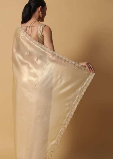 Light Gold Toned Saree In Tissue With Cut Dana Embroidered Borders