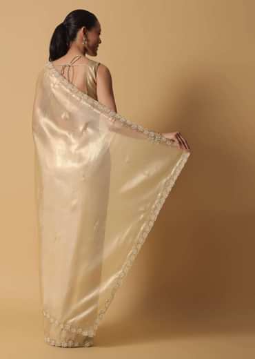 Light Gold Toned Saree In Tissue With Cut Dana Embroidered Borders