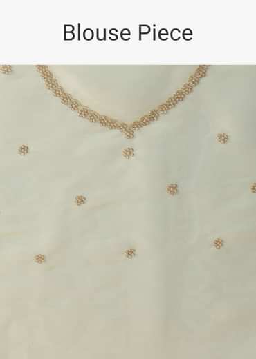 Light Green Foil Saree In Tissue With Cut Dana Embroidered Borders