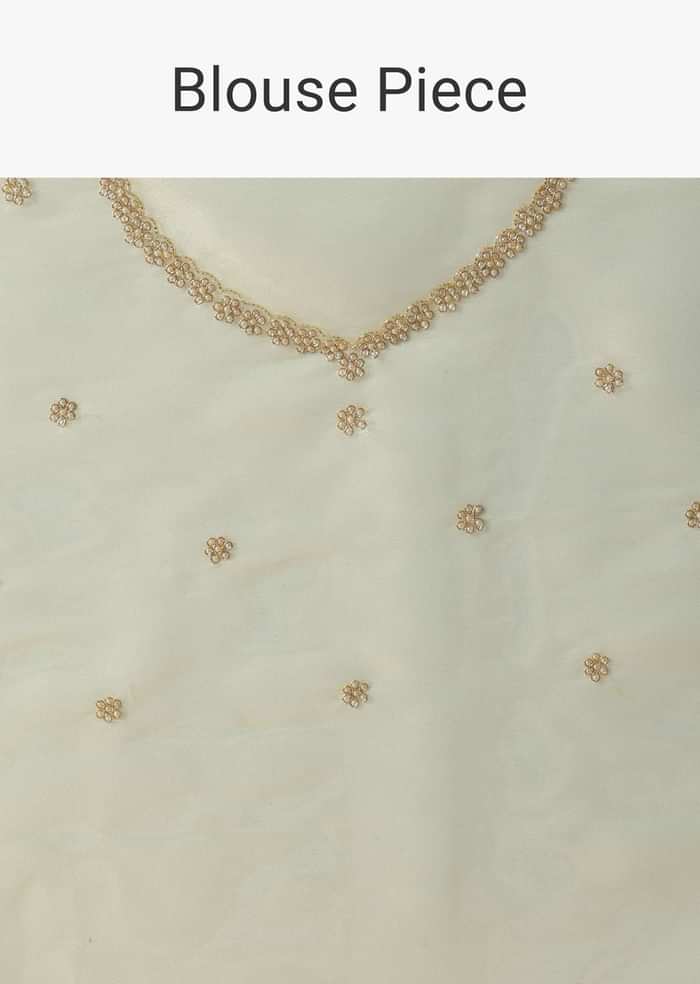 Light Green Foil Saree In Tissue With Cut Dana Embroidered Borders