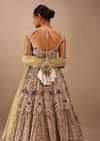 Light Pink Lehenga Choli With Multi Colored 3D Embroidered Kalis In Floral And Scallop Motifs