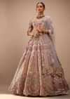 Light Pink Lehenga Set With A Choli In Moti Embroidery, Crop Top Comes In Half Sleeves With Cut Work