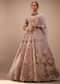 Light Pink Lehenga Set With A Choli In Moti Embroidery, Crop Top Comes In Half Sleeves With Cut Work