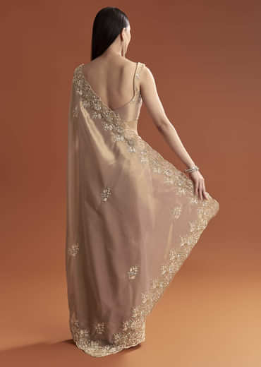 Mauve Tissue Saree With Scallop Border And Stone Embroidery