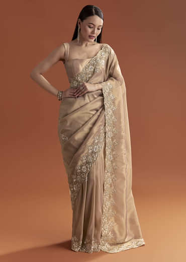 Mauve Tissue Saree With Scallop Border And Stone Embroidery