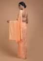 Melon Peach Saree In Chiffon With Badla Work In Diagonal Stripes And Round Motifs Online - Kalki Fashion
