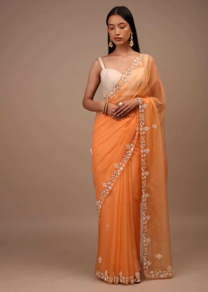 Melon Orange Saree In Organza With Hand Embroidered Moti And Sequin Work On The Border And Butti Design