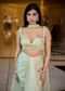 Mint Green Pleated Blouse With Draped Skirt And Choker Dupatta